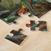Puzzle tableau classique de la faune des oiseaux colibris (Côté)