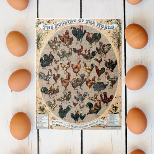 Puzzle Tableau des poulets et des coqs des volailles vint