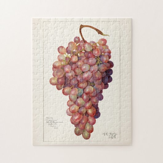 Puzzle Tableau vintage de raisins rouges (Vertical)