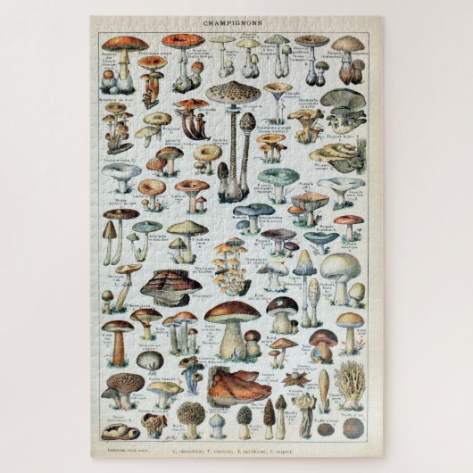 Puzzle Tableau vintage des champignons comestibles (Vertical)