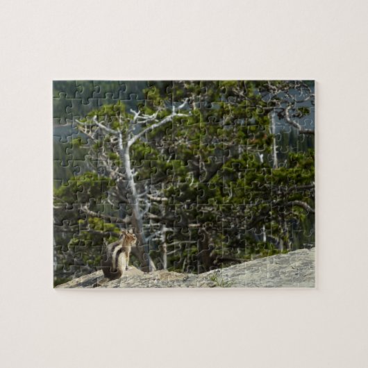 Puzzle Tamia au point de vue de Two Medicine Lake (Horizontal)