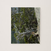 Puzzle Tamia au point de vue de Two Medicine Lake (Vertical)