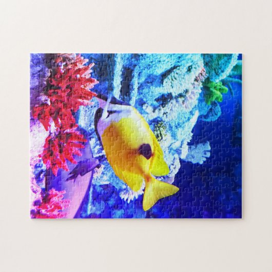 Puzzle Tang poisson tropical (Horizontal)