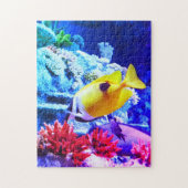 Puzzle Tang poisson tropical (Vertical)