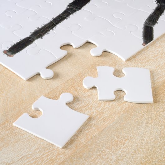 Puzzle Tarantula (Côté)