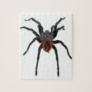 Puzzle Tarantula