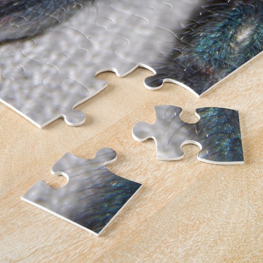 Puzzle tarentule bleue (Côté)