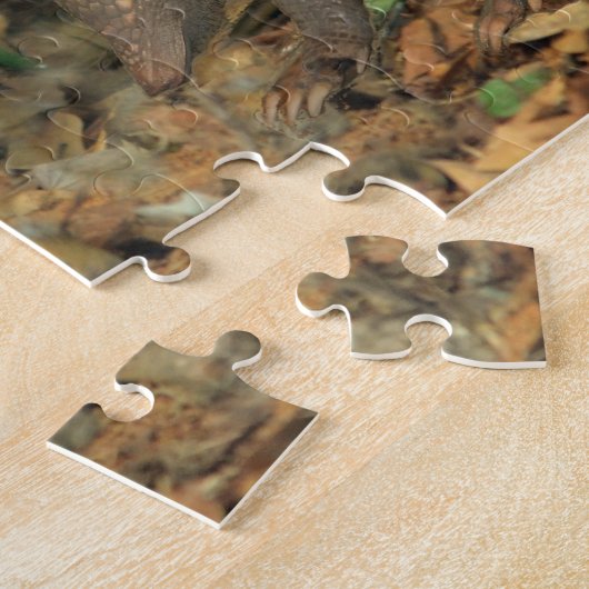 Puzzle Tatou du Texas (Côté)
