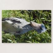 Puzzle Taupe (Balaeniceps rex) (Horizontal)
