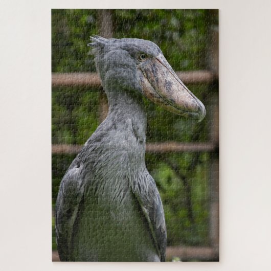 Puzzle Taupe (Balaeniceps rex) (Vertical)