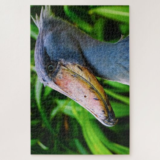 Puzzle Taupe (Balaeniceps rex) (Vertical)