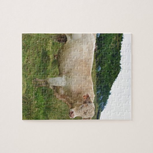 Puzzle Taureau (Horizontal)