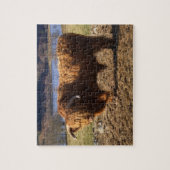 Puzzle Taureau de Highland Cattle, Écosse (Vertical)