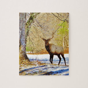 Puzzle > Taureau frontal en Neige