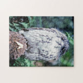 Puzzle Tawny Frogmouth, Tasmanie - Australie (Horizontal)