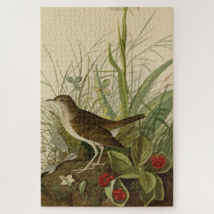 Puzzle Tawny Thrush (Veery) - Audubon's Birds of America