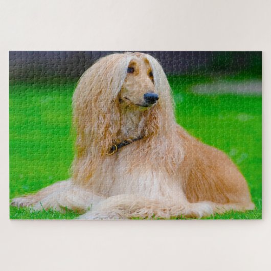 Puzzle Tazi Afghan. (Horizontal)