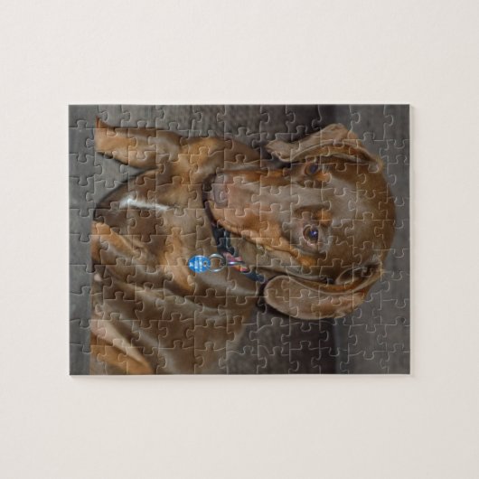 Puzzle Teckel de chocolat (Horizontal)