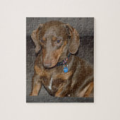 Puzzle Teckel de chocolat (Vertical)