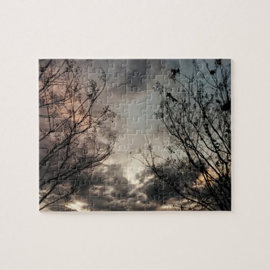 Puzzle Température (Horizontal)