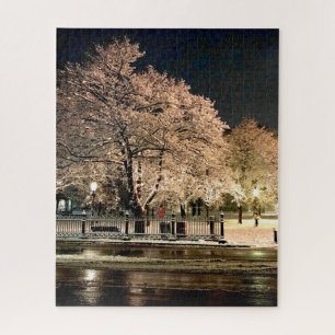 Puzzle Tempête de neige nocturne Salem Common Massachuset