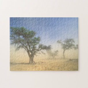 Puzzle Tempête de sable dans le désert du Kalahari, Kgala