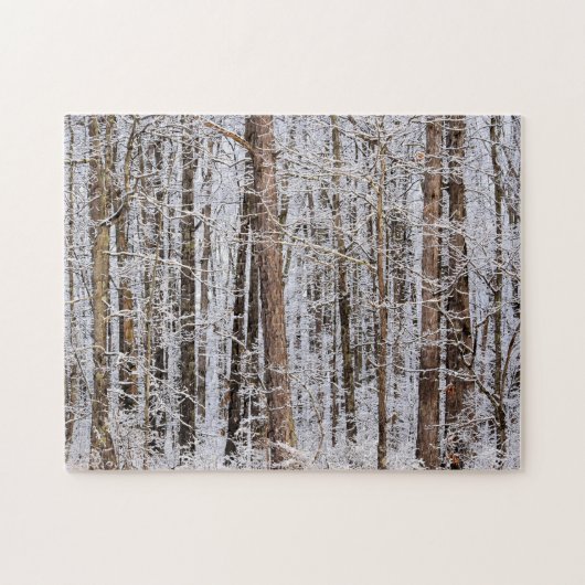 Puzzle Tempête de verglas en hiver dans la forêt - 11x14  (Horizontal)