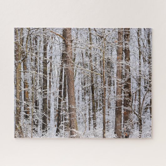 Puzzle Tempête de verglas en hiver dans la forêt - 16x20 (Horizontal)