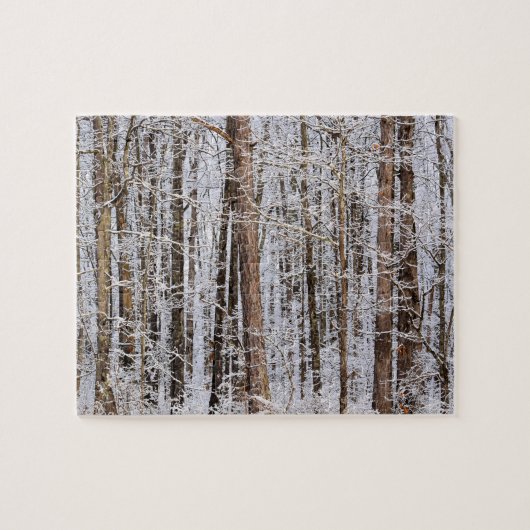 Puzzle Tempête de verglas en hiver dans la forêt - 8x10 p (Horizontal)