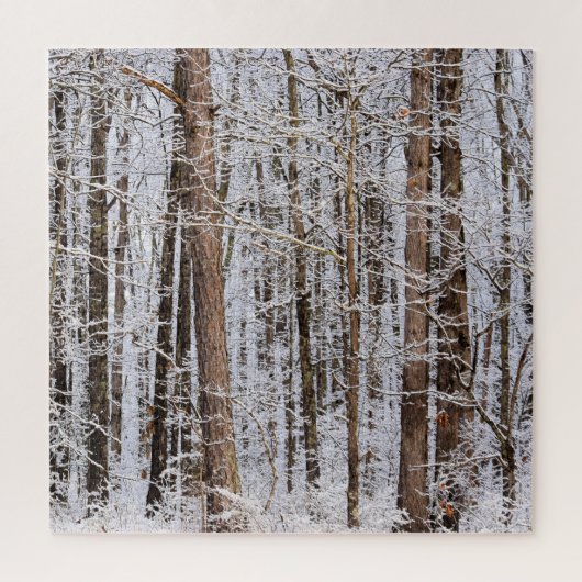 Puzzle Tempête glaciaire d'hiver dans la forêt (Vertical)