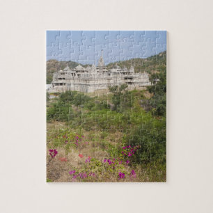 Puzzle Temple jaïn de Ranakpur, Ranakpur, Rajasthan, Inde