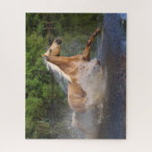 Puzzle Tennessee Walker Traversant L'Eau (Vertical)