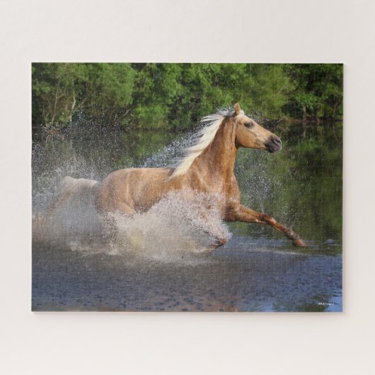 Puzzle Tennessee Walker Traversant L'Eau (Horizontal)
