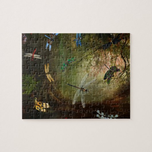 Puzzle Terrain de jeu de libellule (Horizontal)