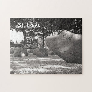 Puzzle Terrain de jeu de tortue