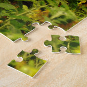 Puzzle Terrain de tournesol (Côté)