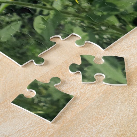 Puzzle Terrain de tournesol (Côté)