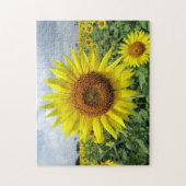 Puzzle Terrain de tournesol (Vertical)