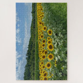 Puzzle Terrain de tournesol (Vertical)