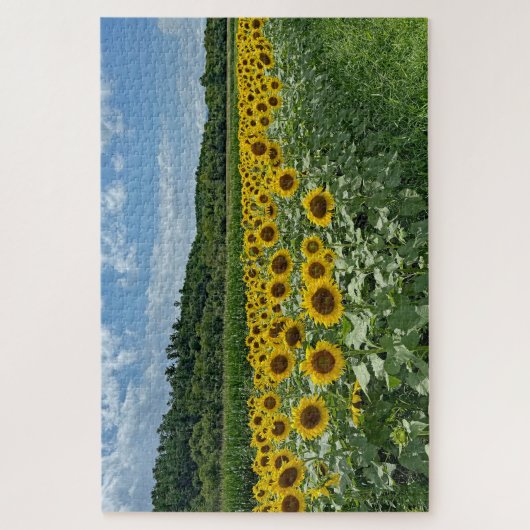 Puzzle Terrain de tournesol (Vertical)