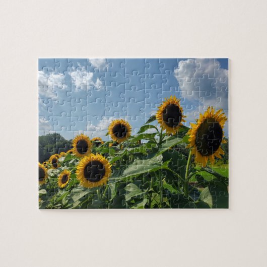 Puzzle Terrain de tournesol (Horizontal)