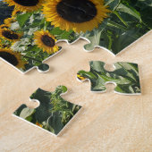 Puzzle Terrain de tournesol (Côté)