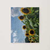 Puzzle Terrain de tournesol (Vertical)