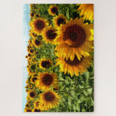 Puzzle Terrain de tournesol (Vertical)