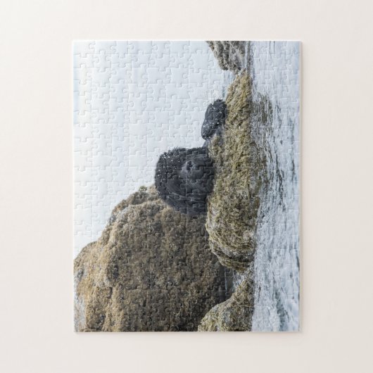 Puzzle Terre-Neuve (choisir la difficulté) (Vertical)