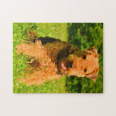 Puzzle Terrier Airedale. (Horizontal)