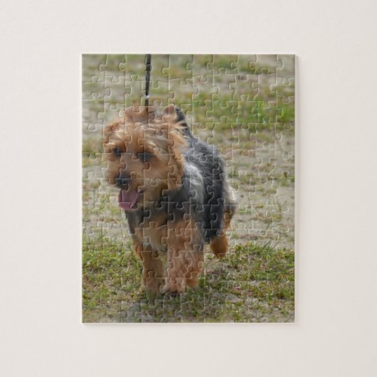 Puzzle Terrier australien mignon (Vertical)