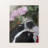 Puzzle Terrier de Boston (Vertical)