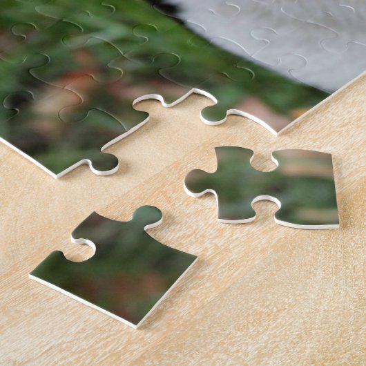 Puzzle Terrier de Boston (Côté)