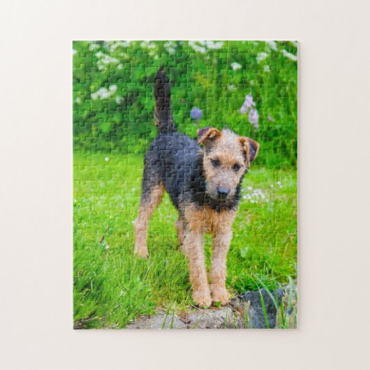 Puzzle Terrier de Lakeland. (Vertical)